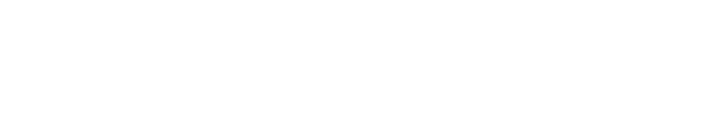 logo calostin horizontal white